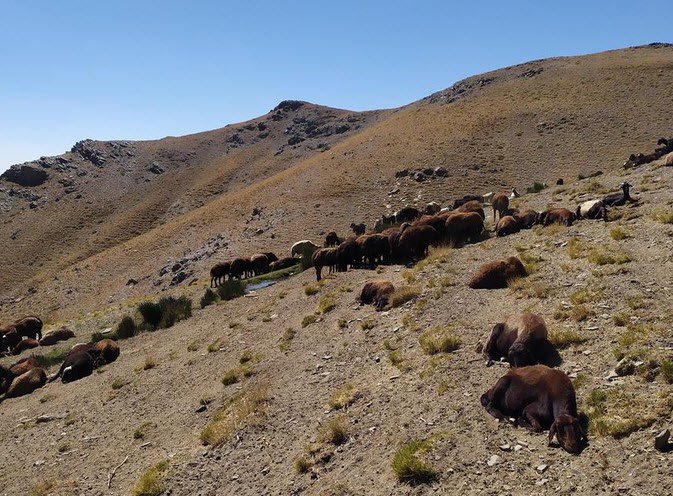 Kūh-e Belqeys, Iran